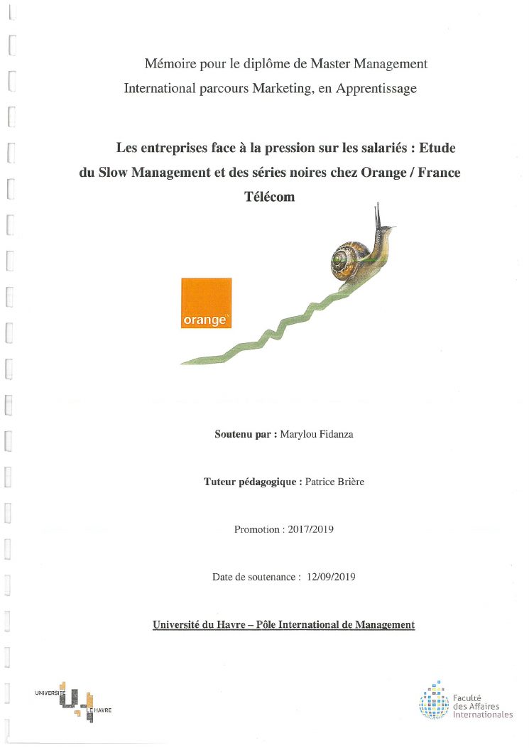 Couverture du mémoire sur le slow management