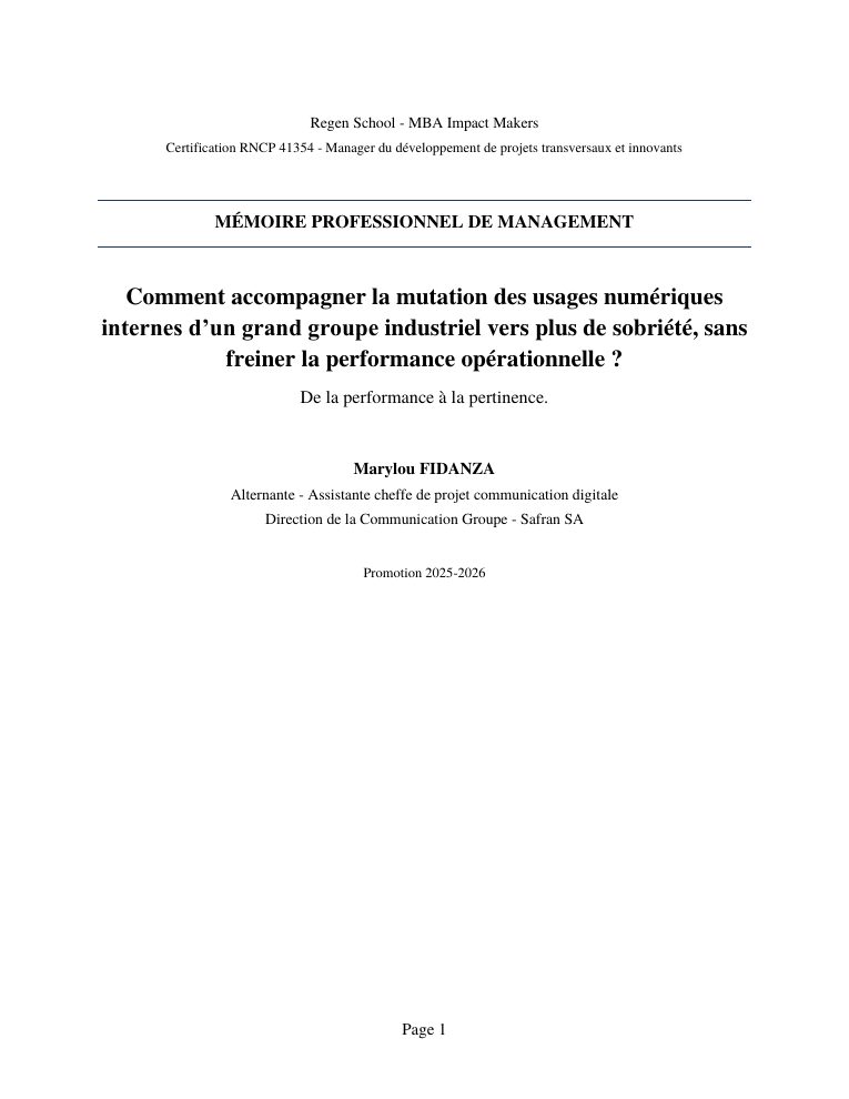 Couverture du mémoire De la performance à la pertinence